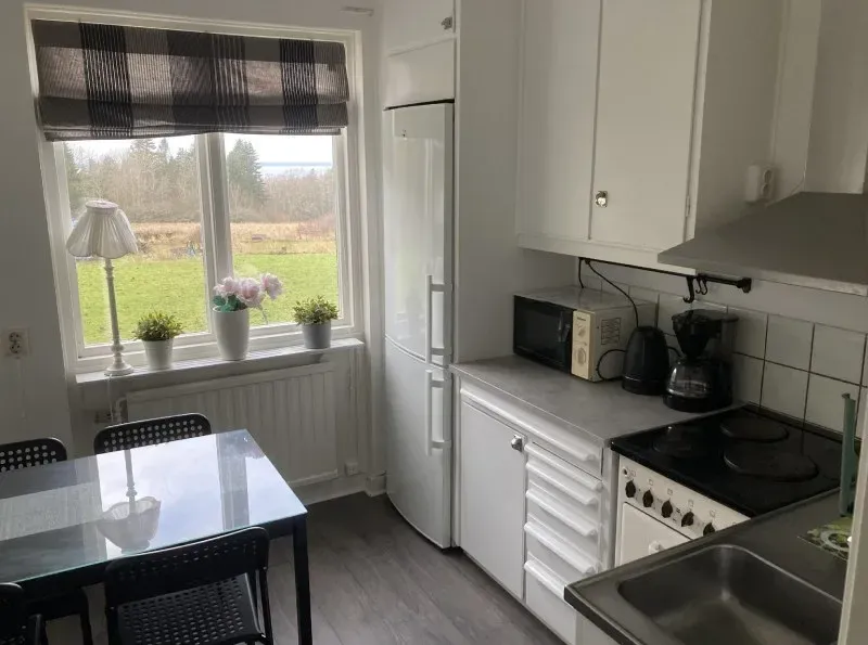 Kitchen with fridge, cooker, microwave, coffee maker and a dining table by the window